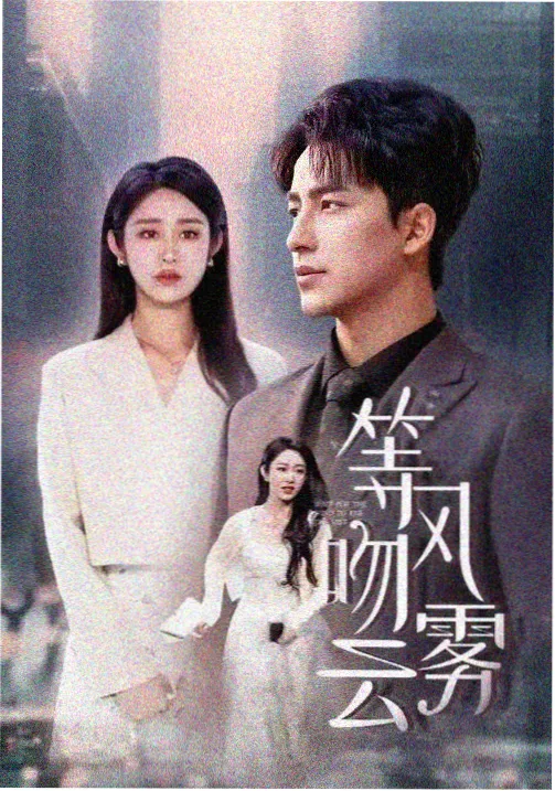 剧集雾港迷局海报